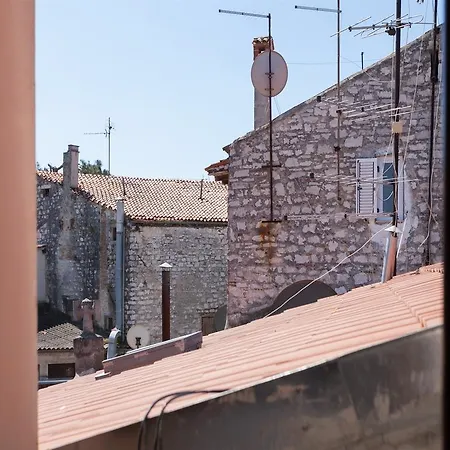 Venema *